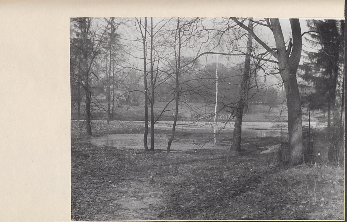Ewidencja parkowa, skan nr 36