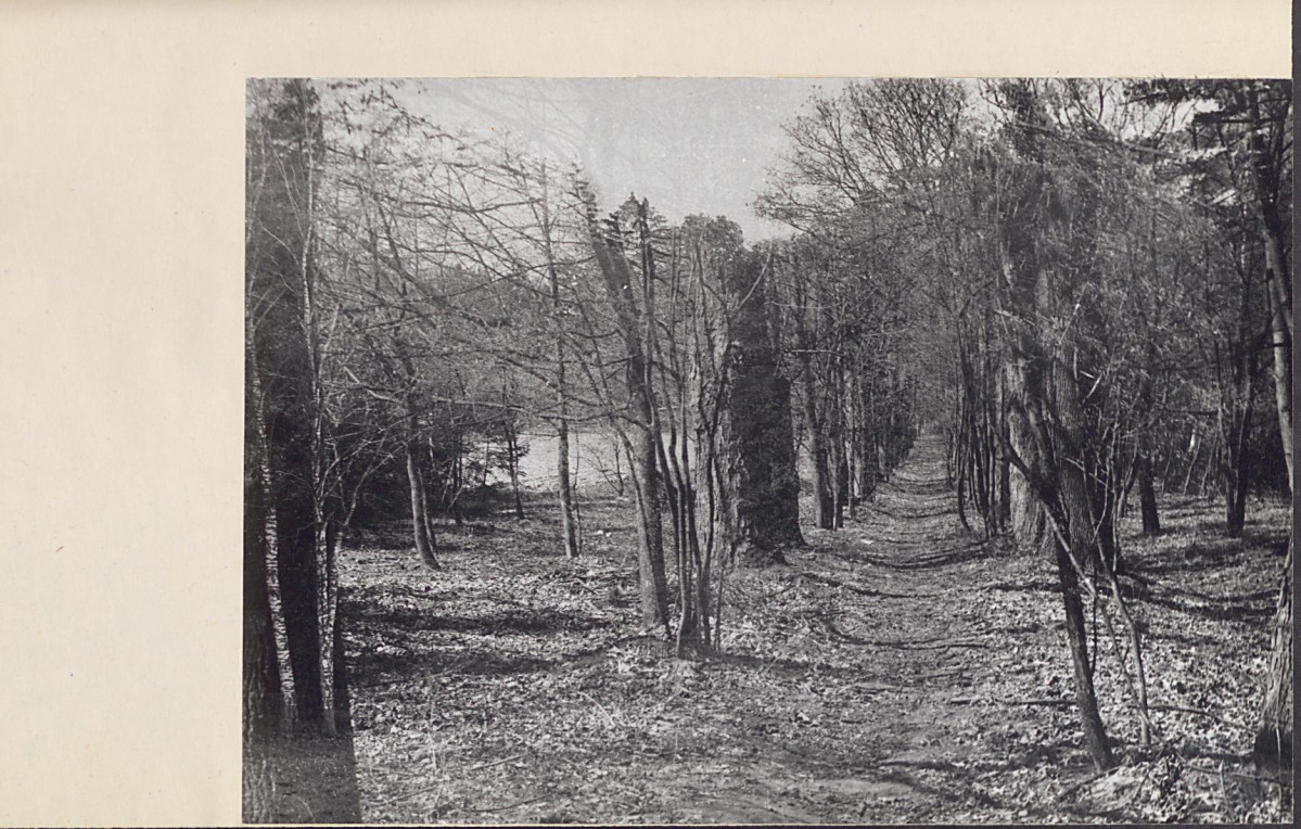 Ewidencja parkowa, skan nr 38