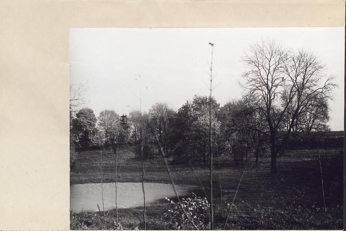 Ewidencja parkowa, skan nr 39