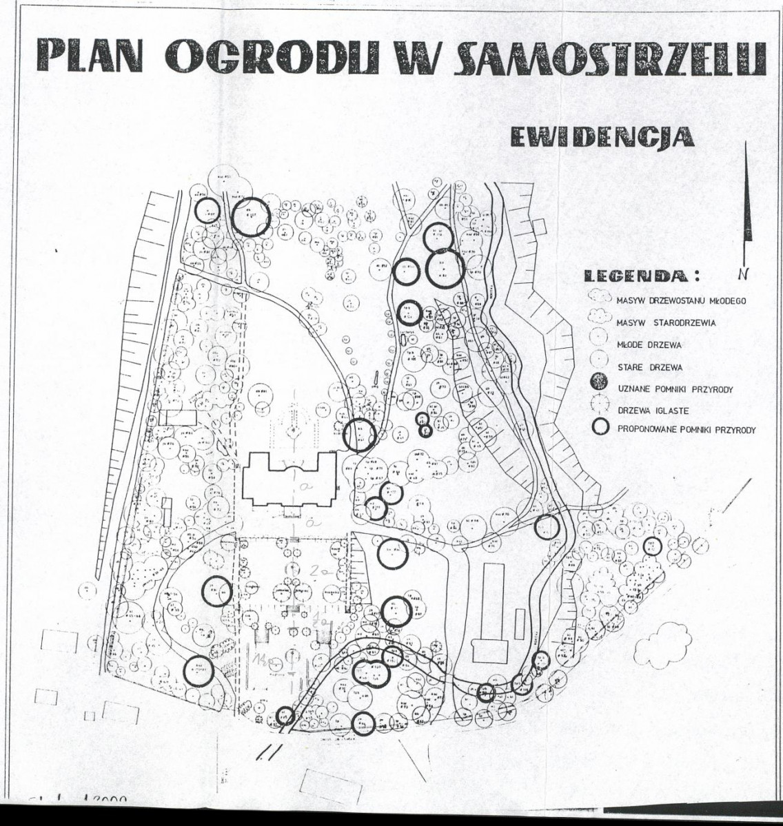 EP - Ewidencja parkowa, skan nr 29