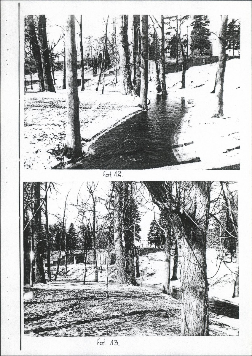EP - Ewidencja parkowa, skan nr 41