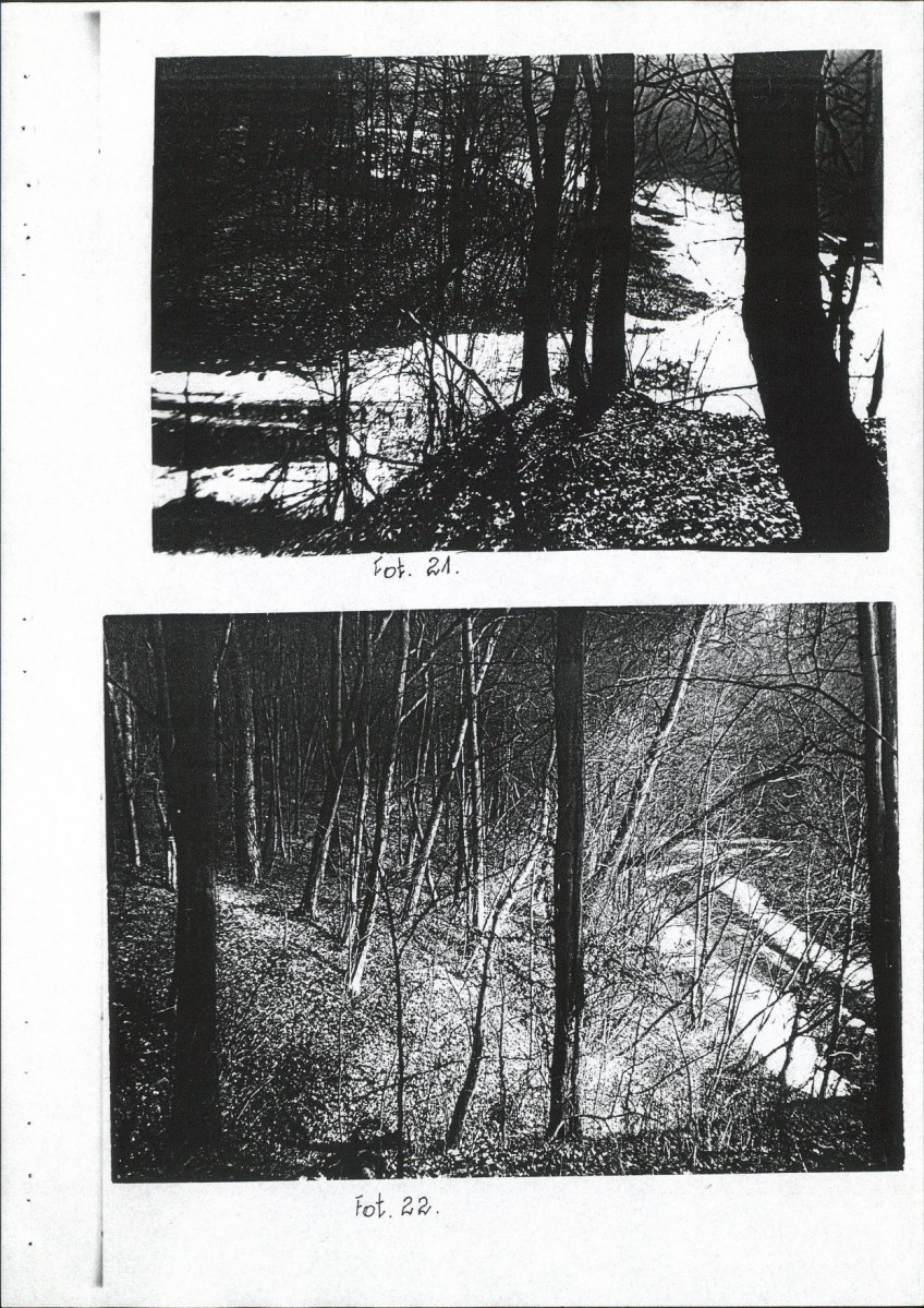 EP - Ewidencja parkowa, skan nr 46