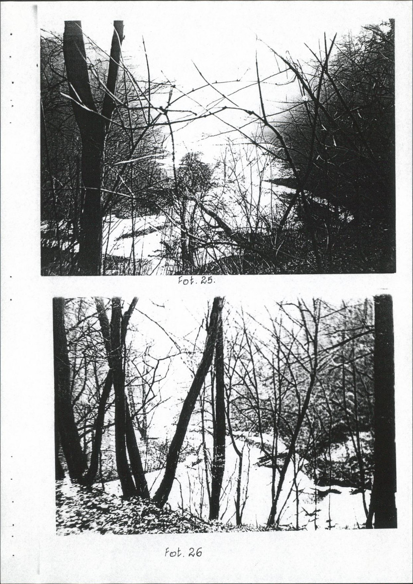 EP - Ewidencja parkowa, skan nr 48