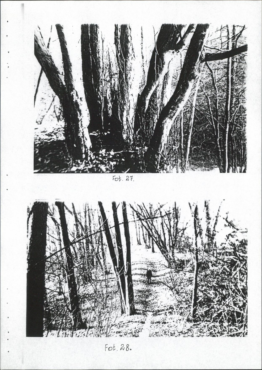 EP - Ewidencja parkowa, skan nr 49