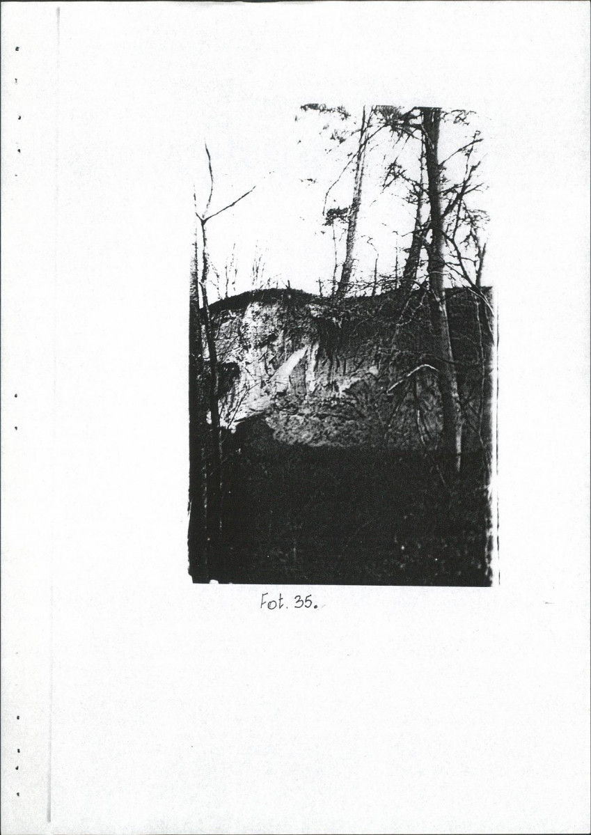 EP - Ewidencja parkowa, skan nr 53