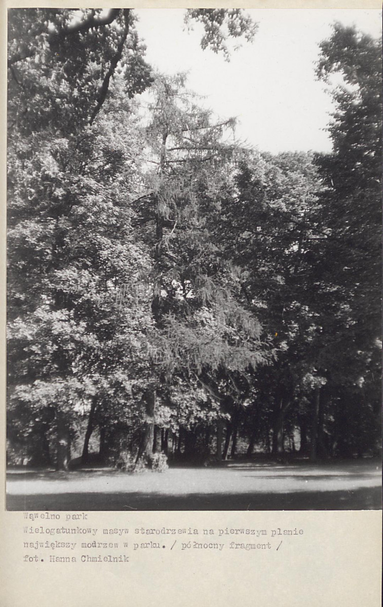 Ewidencja parkowa, skan nr 34