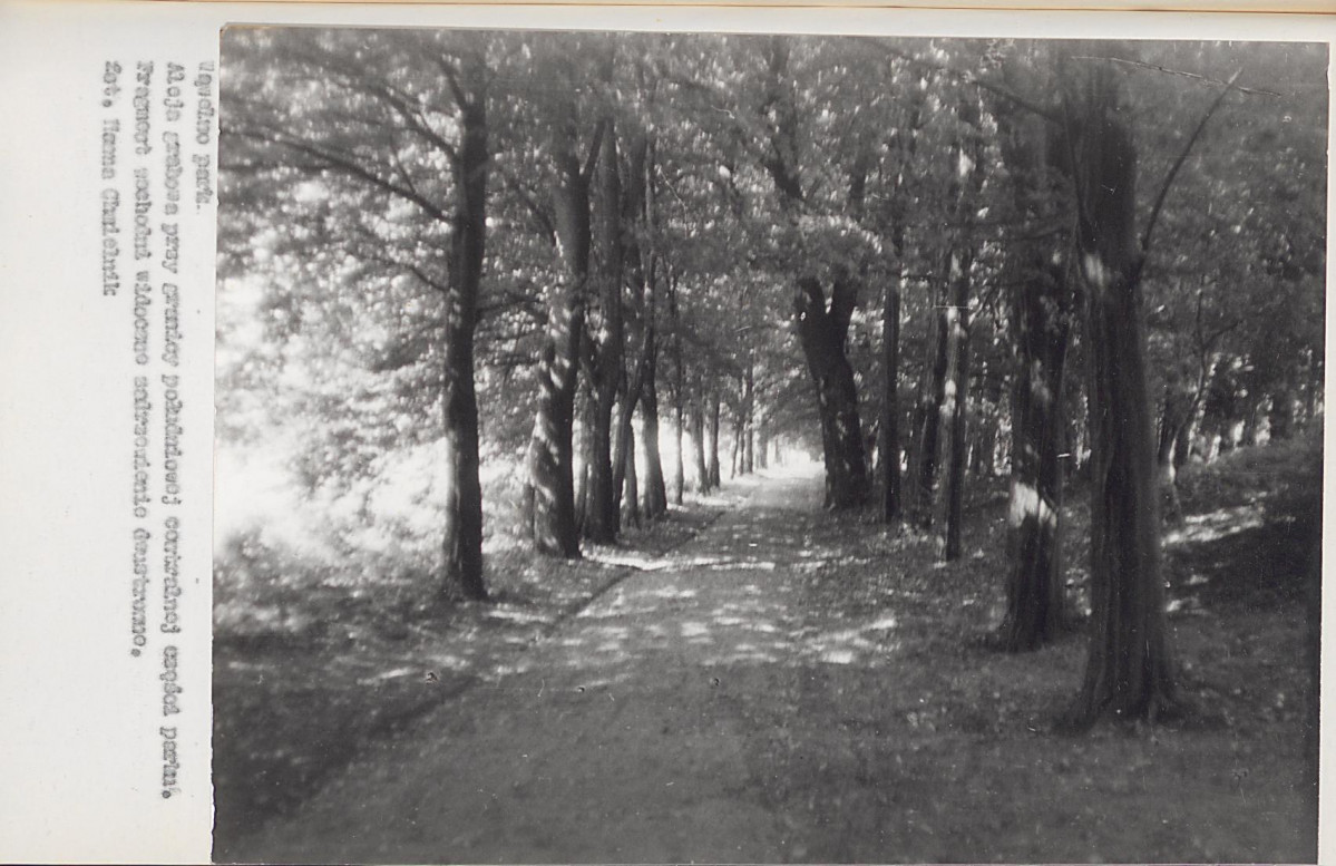 Ewidencja parkowa, skan nr 38