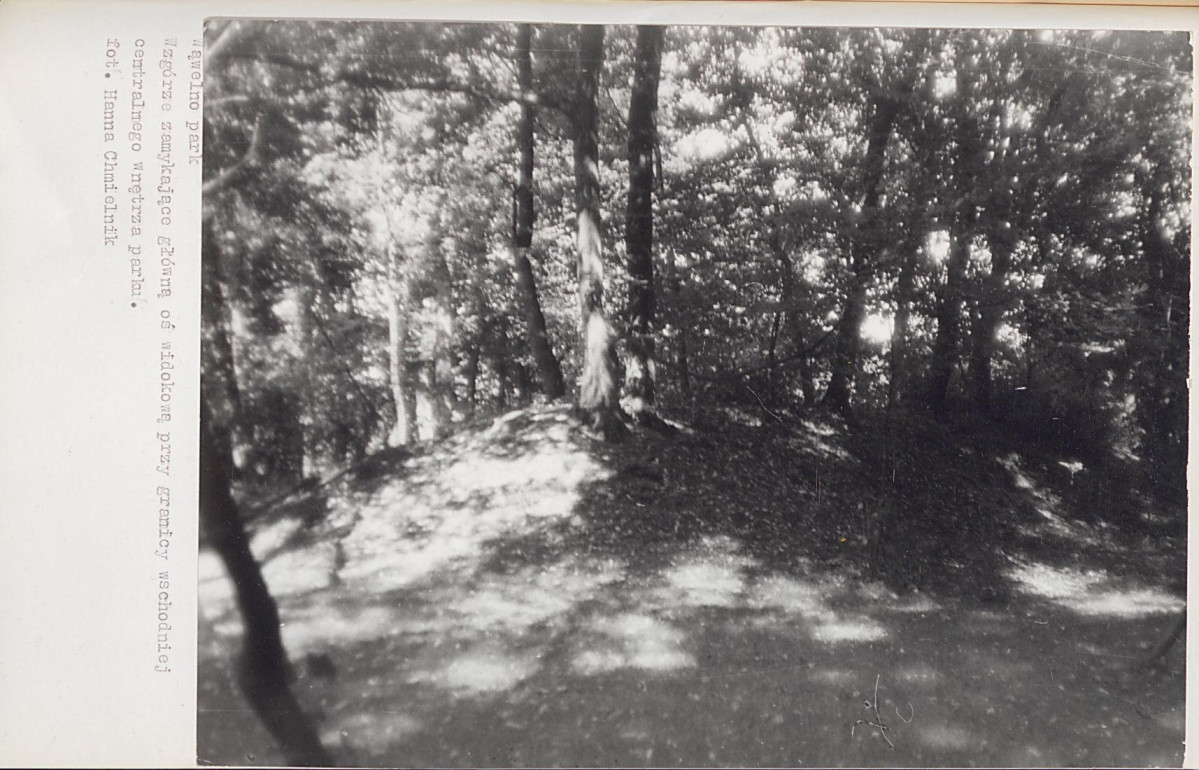 Ewidencja parkowa, skan nr 39