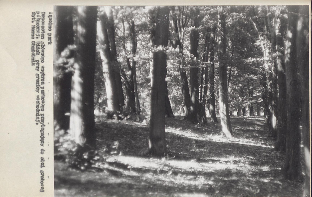 Ewidencja parkowa, skan nr 42
