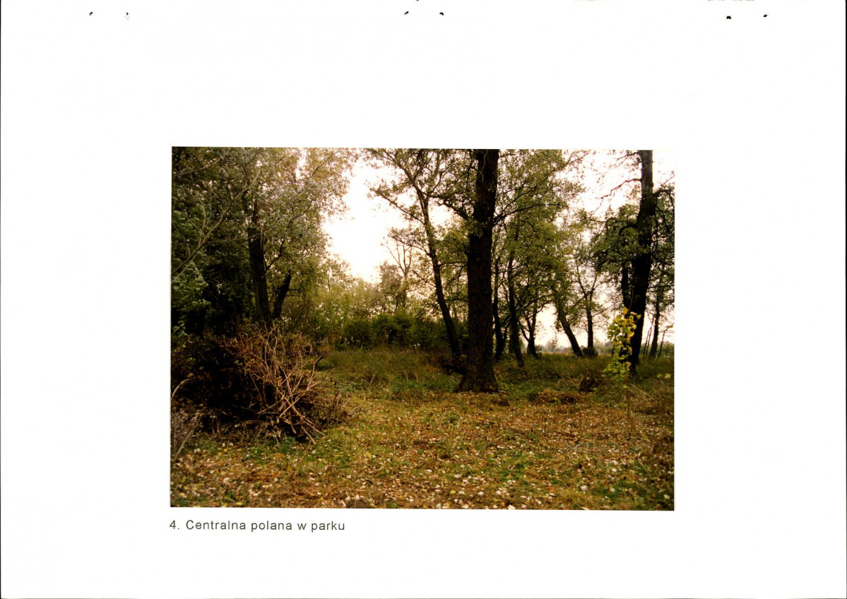 EP - Ewidencja parkowa, skan nr 30