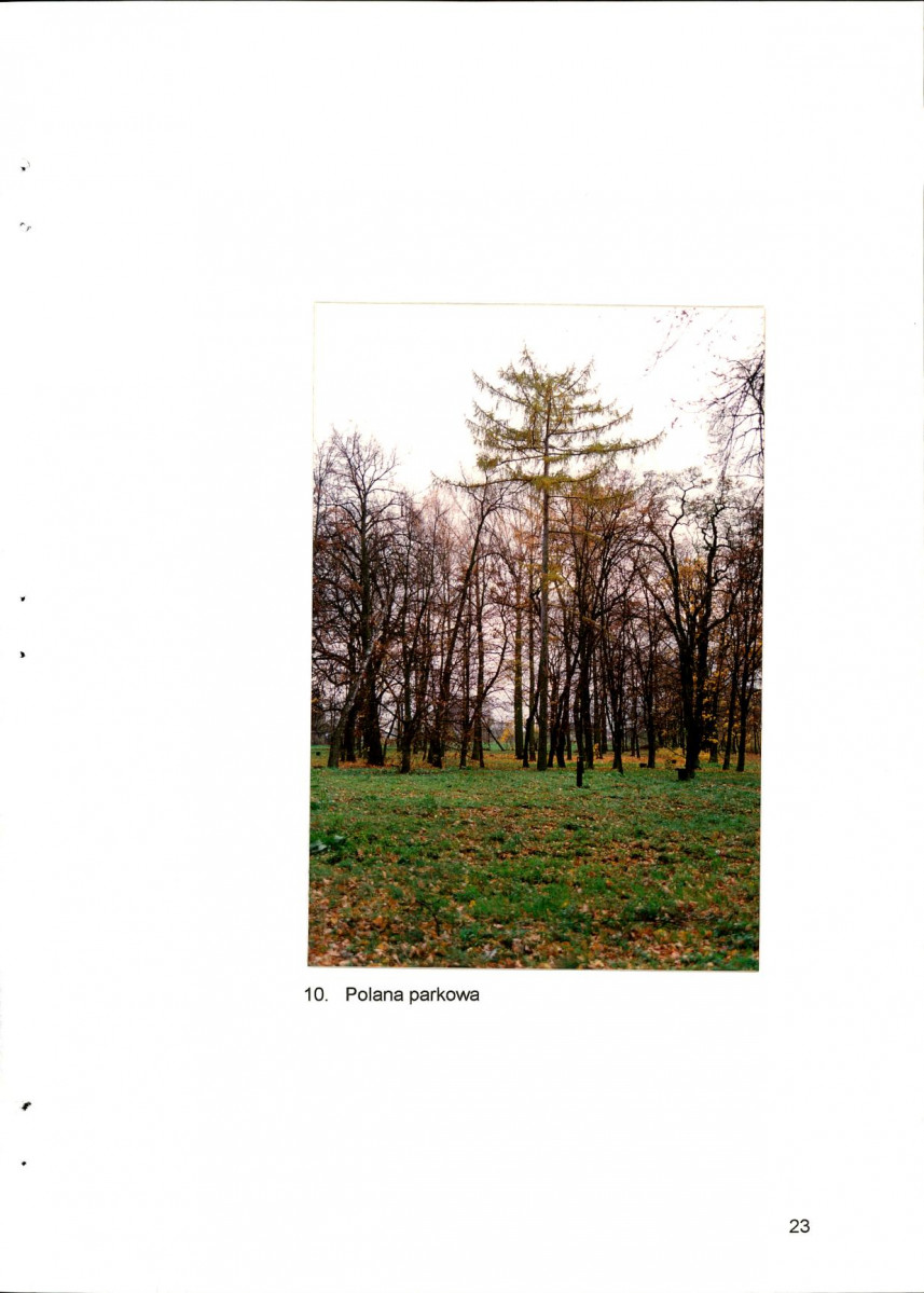 EP - Ewidencja parkowa, skan nr 36