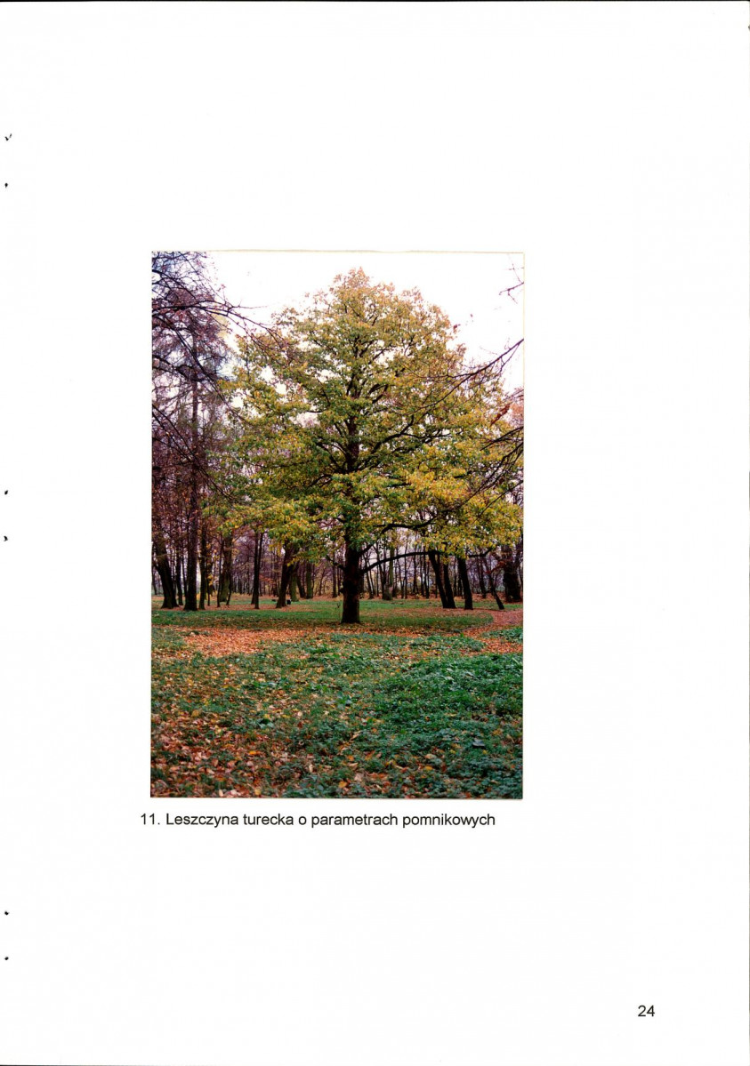 EP - Ewidencja parkowa, skan nr 37