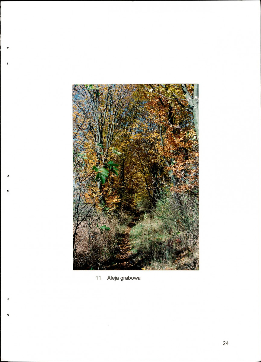EP - Ewidencja parkowa, skan nr 40