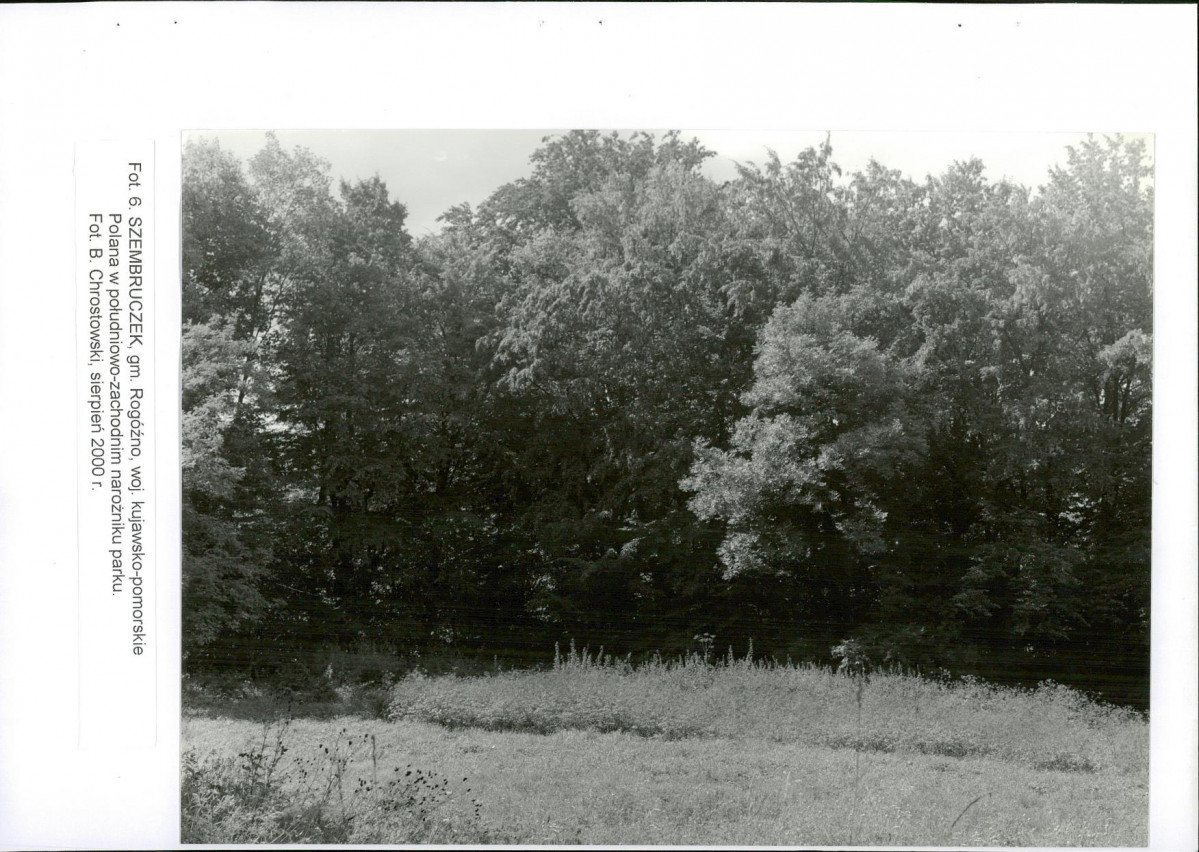 EP - Ewidencja parkowa, skan nr 40