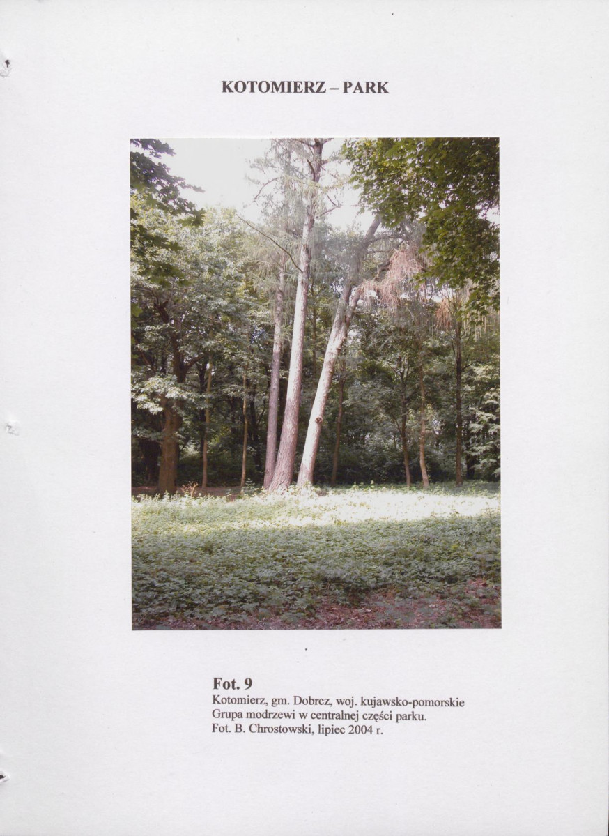 EP - Ewidencja parkowa, skan nr 38