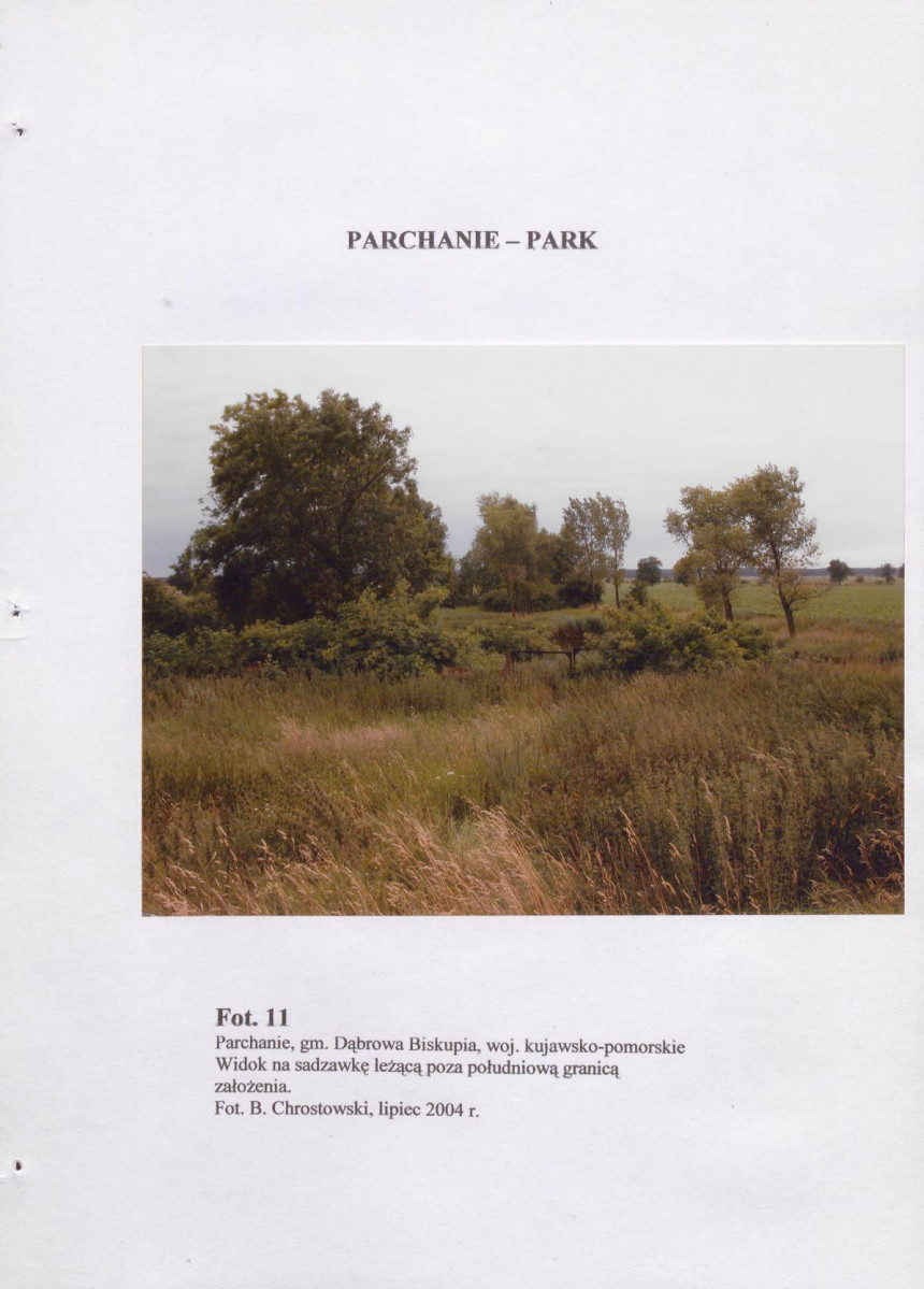 EP - Ewidencja parkowa, skan nr 41