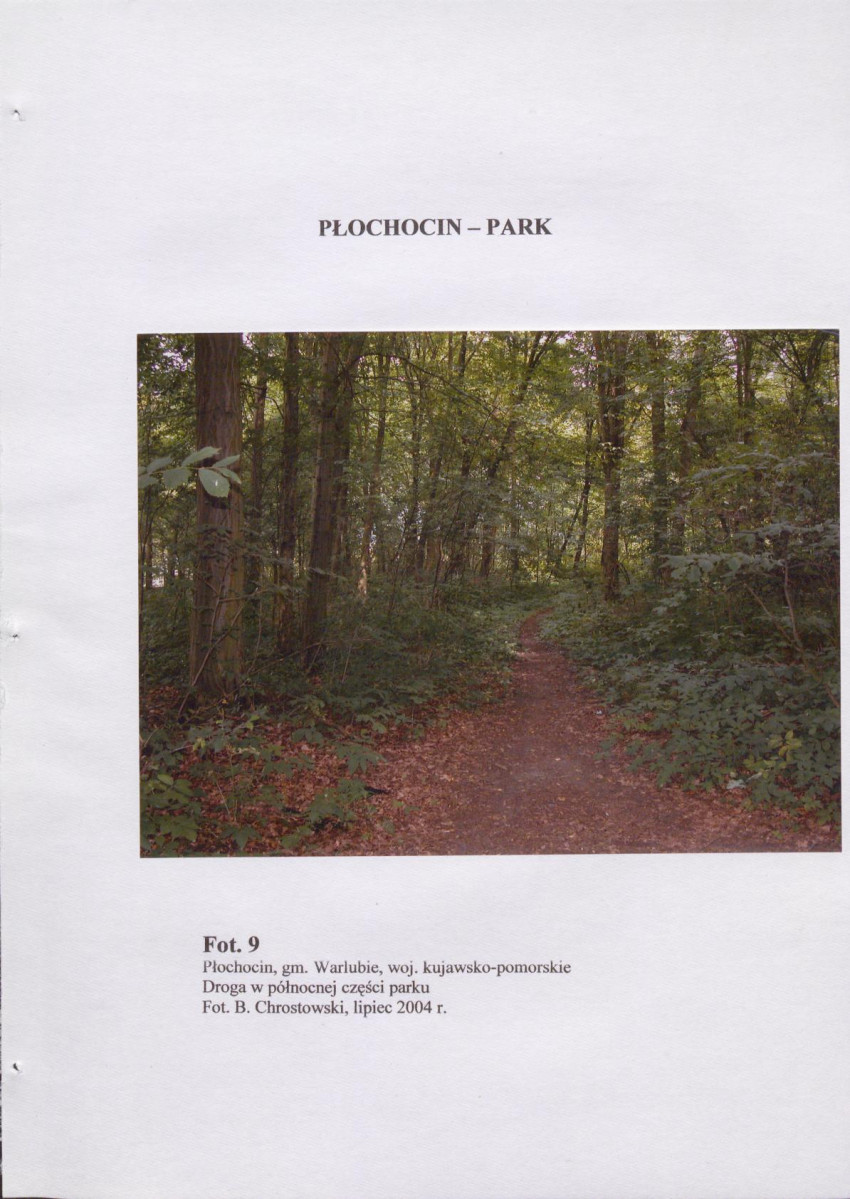 EP - Ewidencja parkowa, skan nr 38