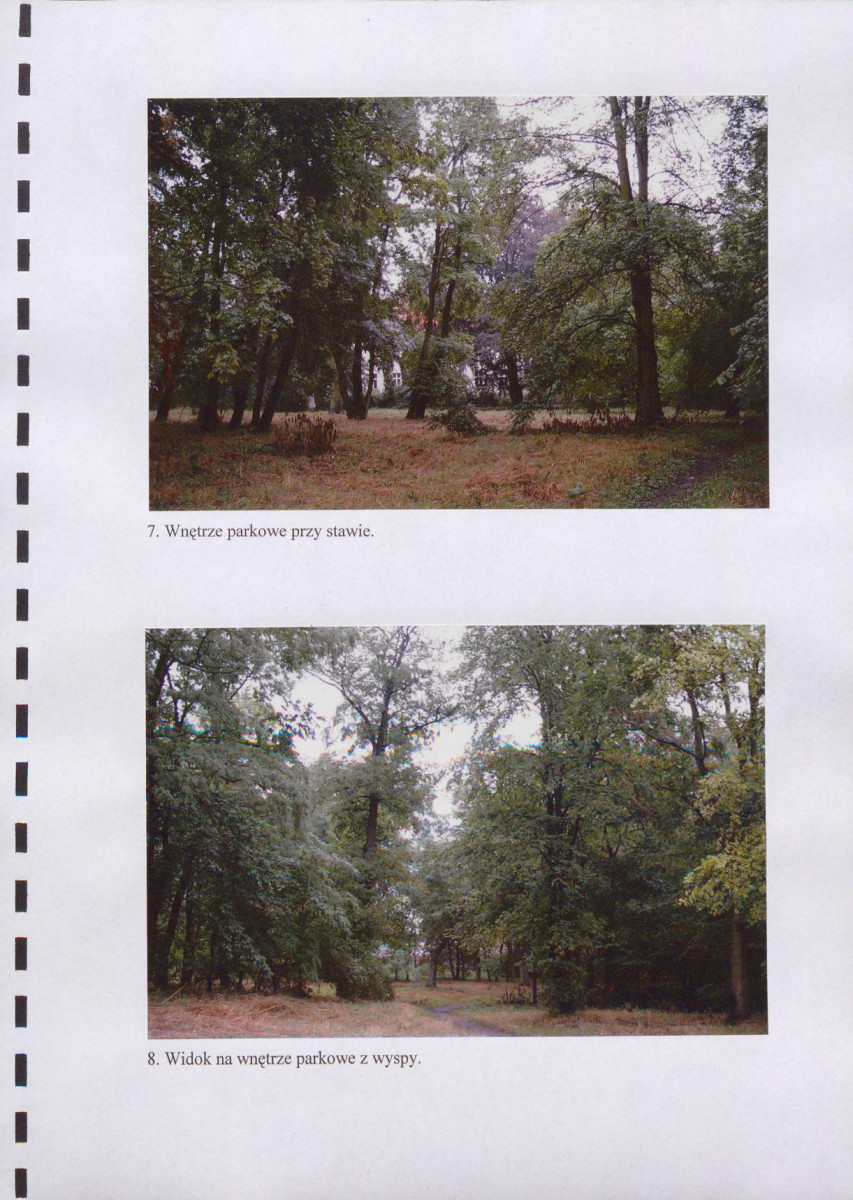 Ewidencja parkowa, skan nr 36