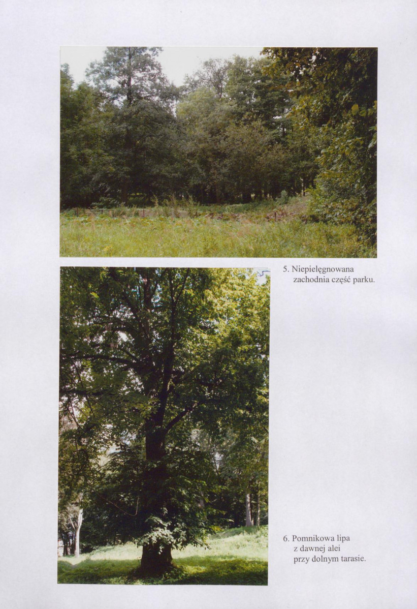 EP - Ewidencja parkowa, skan nr 31