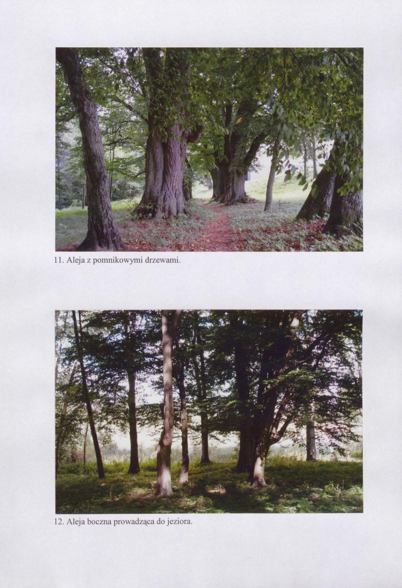 EP - Ewidencja parkowa, skan nr 34