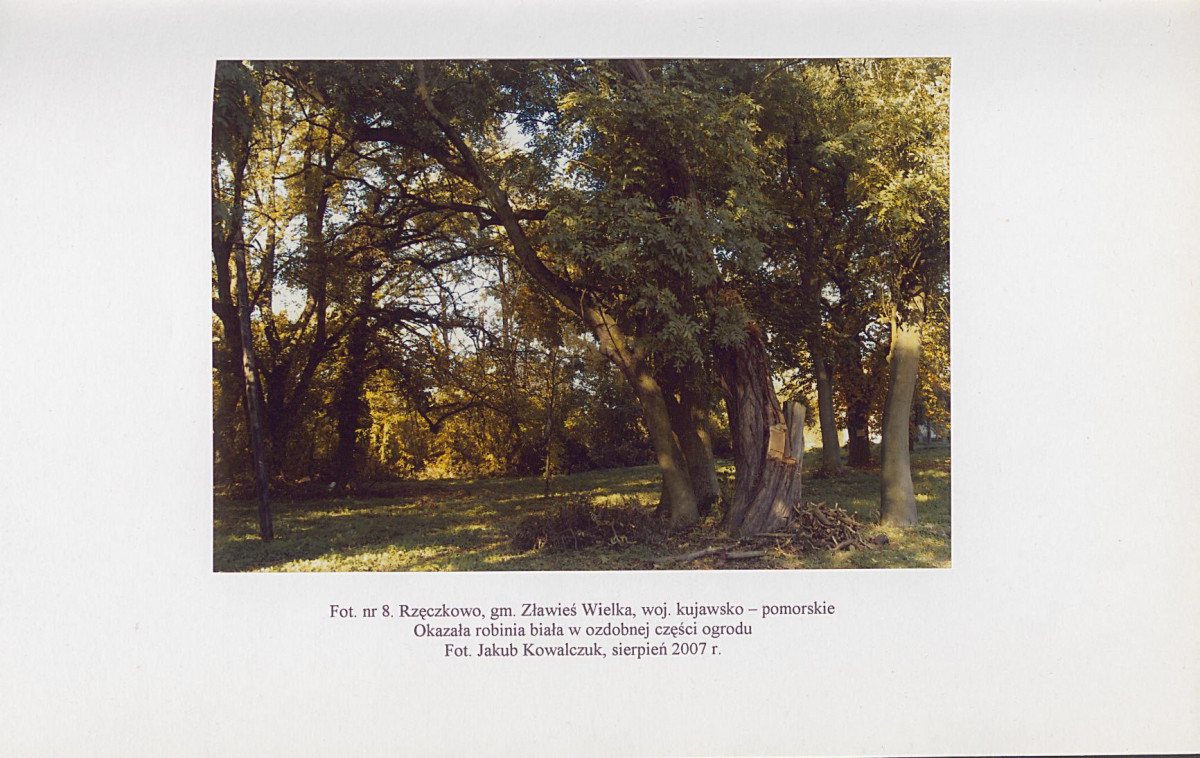 EP - Ewidencja parkowa, skan nr 43