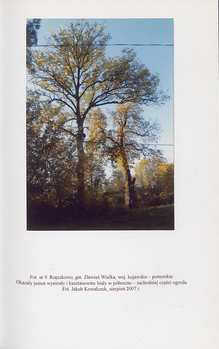 EP - Ewidencja parkowa, skan nr 44