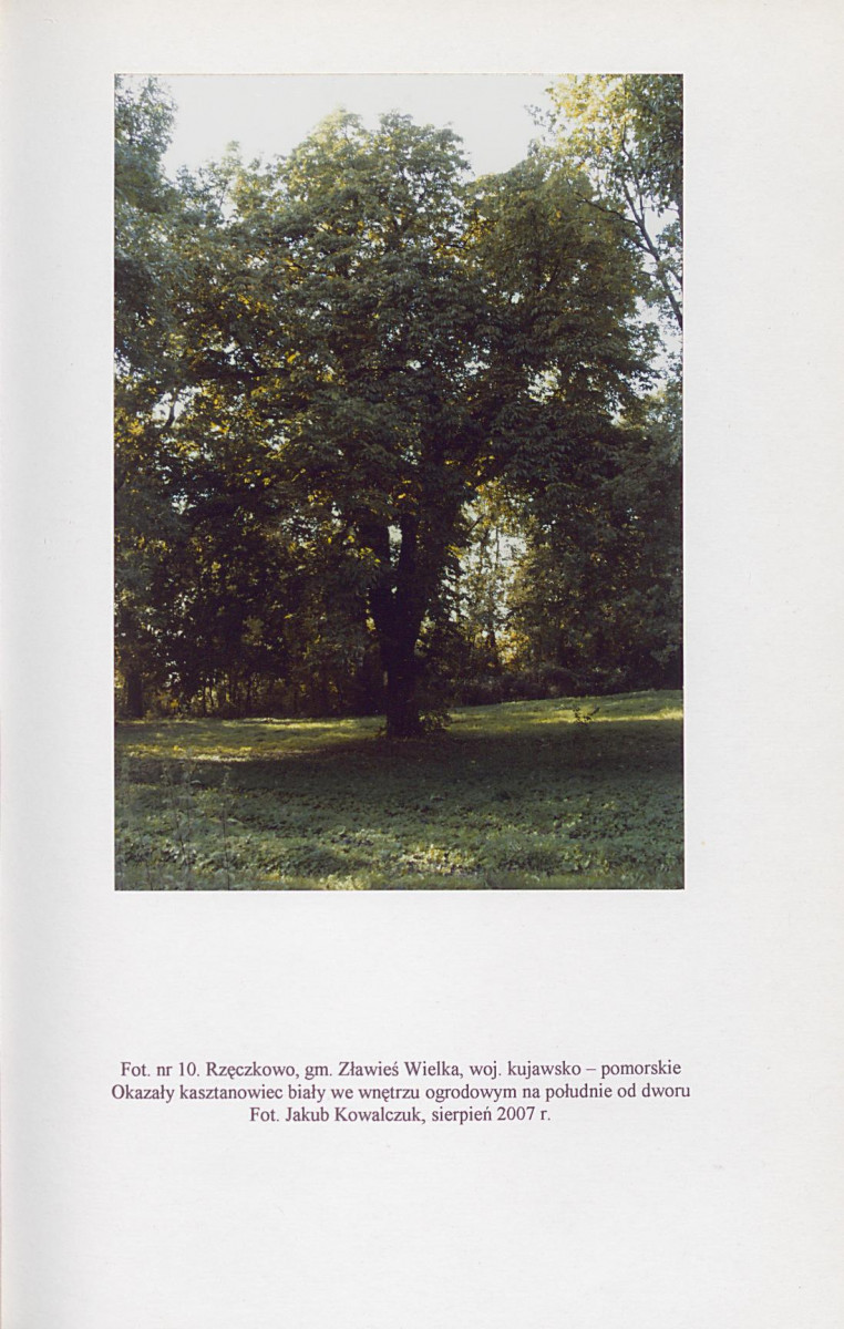 EP - Ewidencja parkowa, skan nr 45