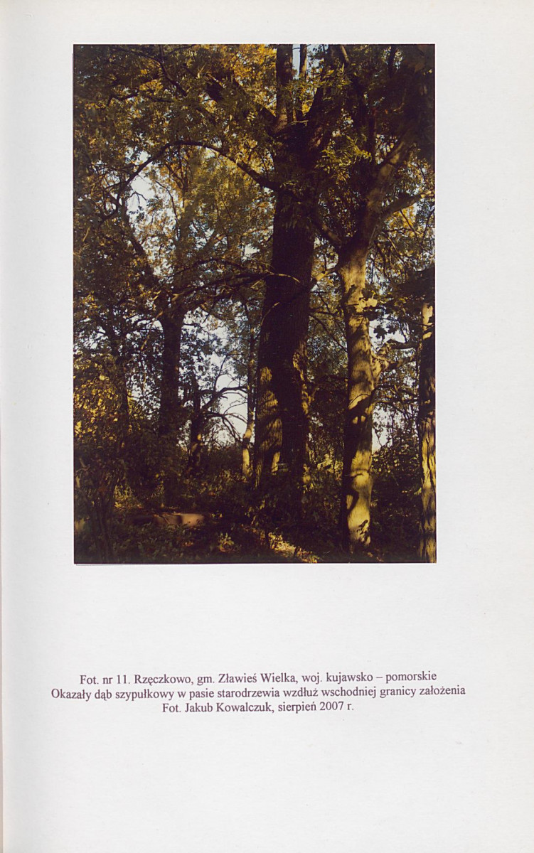 EP - Ewidencja parkowa, skan nr 46