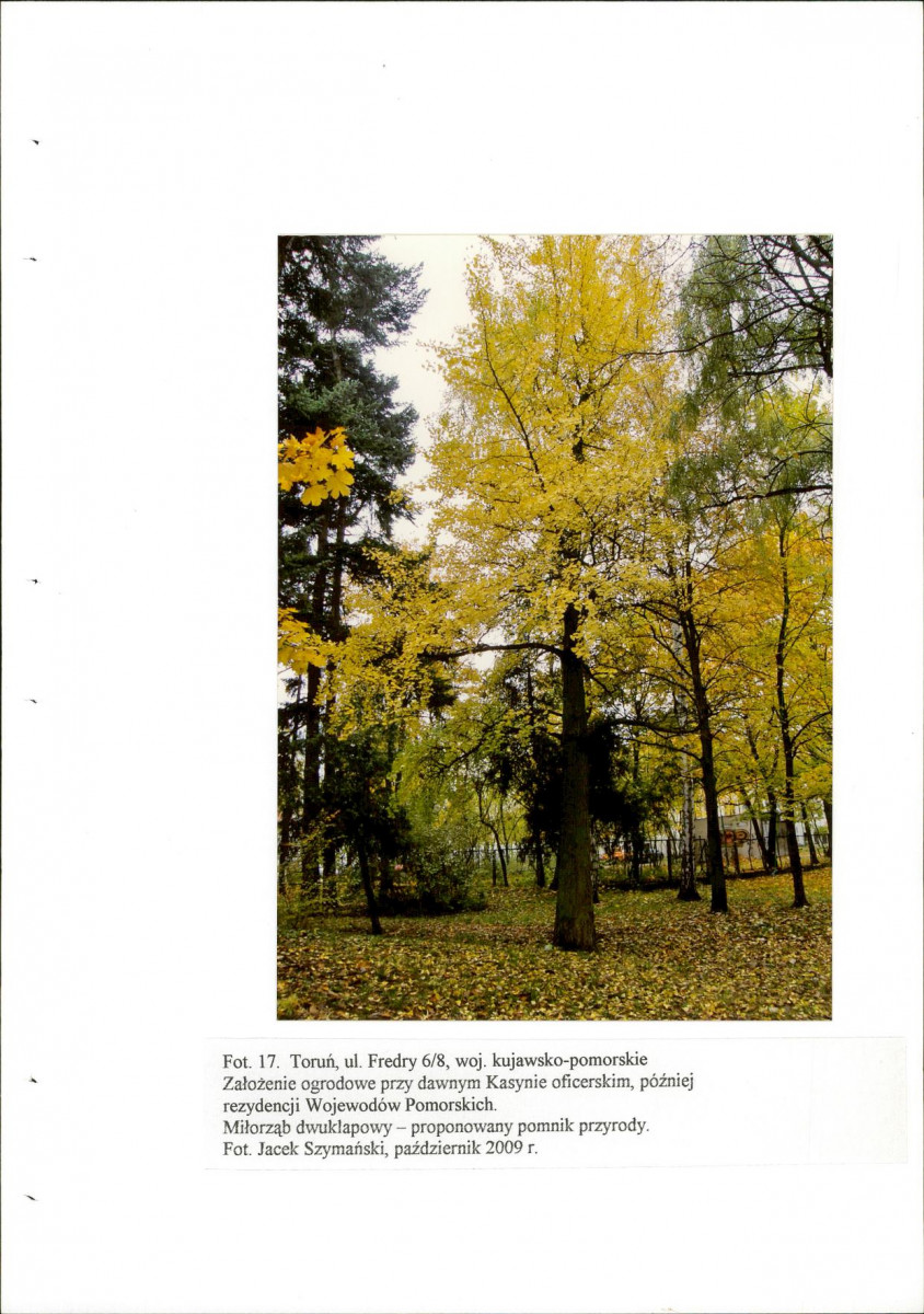 EP - Ewidencja parkowa, skan nr 53