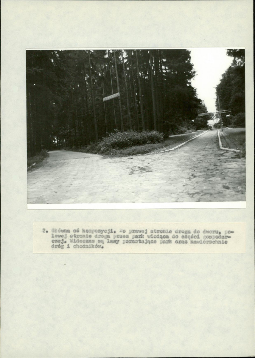 Ewidencja parkowa, skan nr 33