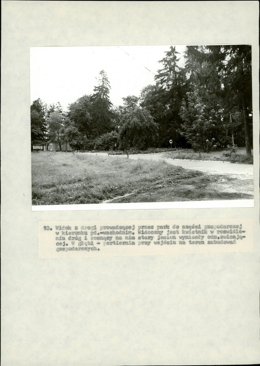 Ewidencja parkowa, skan nr 41