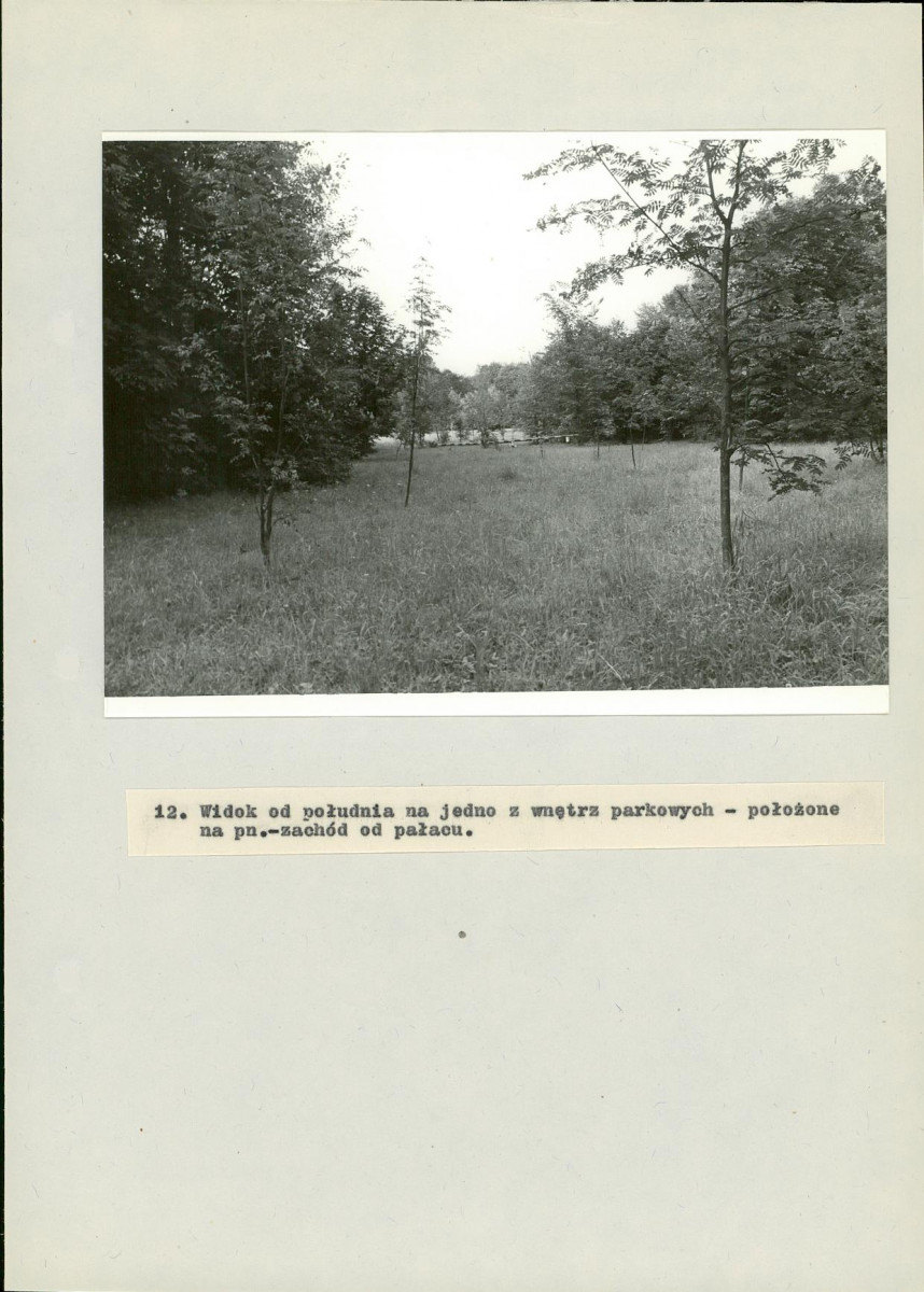 EP - Ewidencja parkowa, skan nr 53