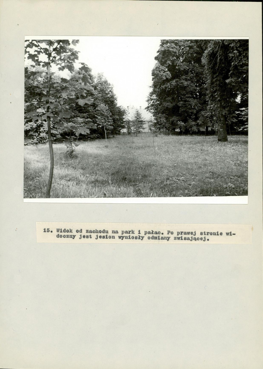 EP - Ewidencja parkowa, skan nr 56