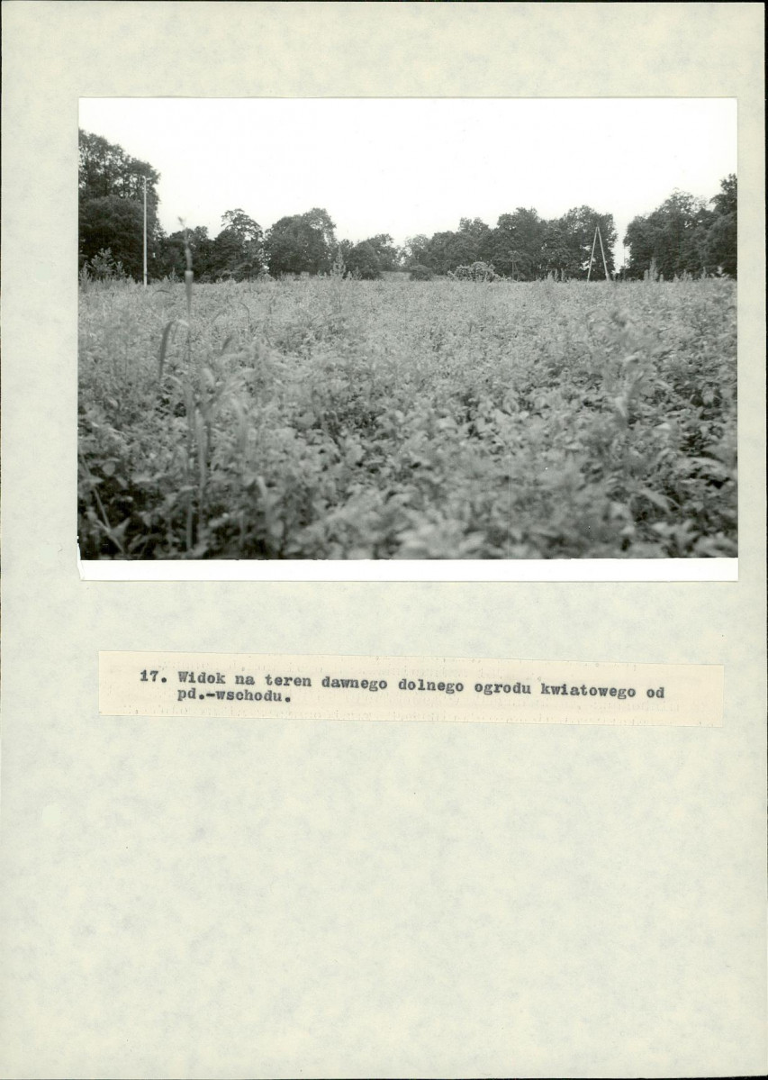 EP - Ewidencja parkowa, skan nr 58