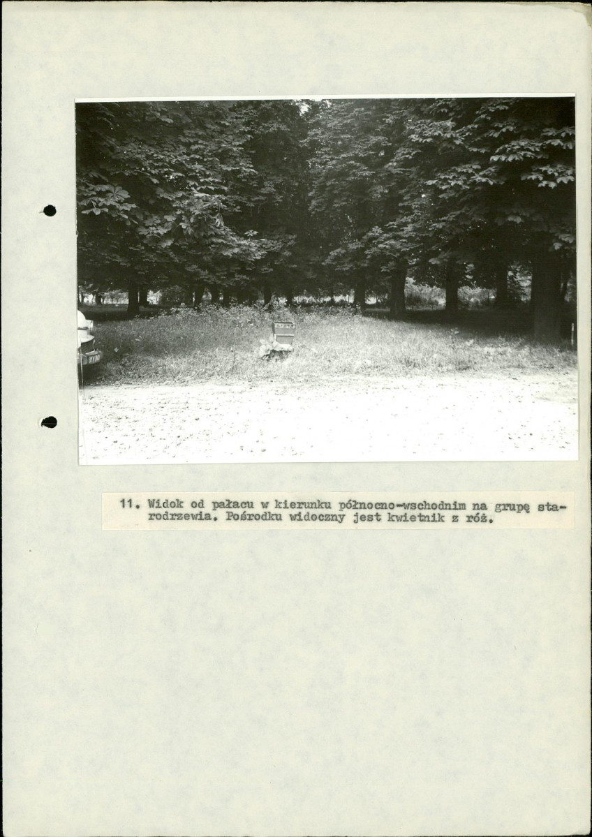 EP - Ewidencja parkowa, skan nr 76