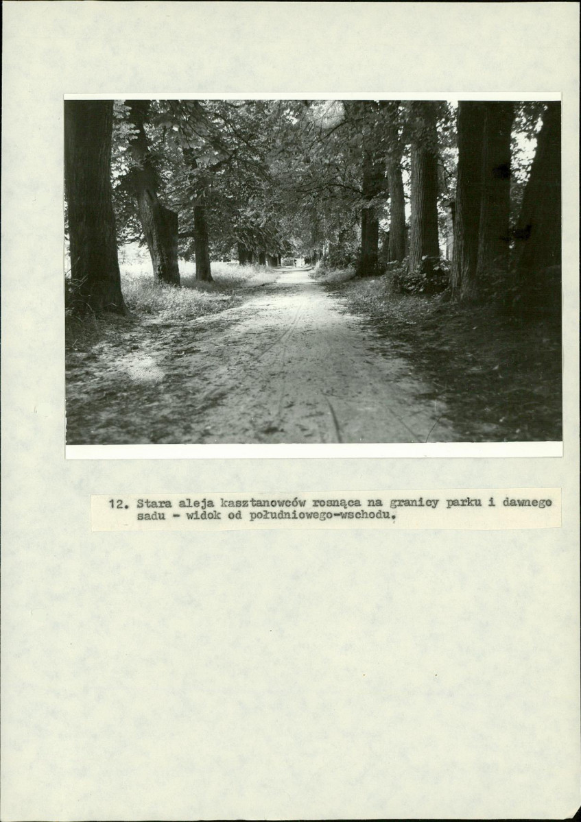 EP - Ewidencja parkowa, skan nr 77