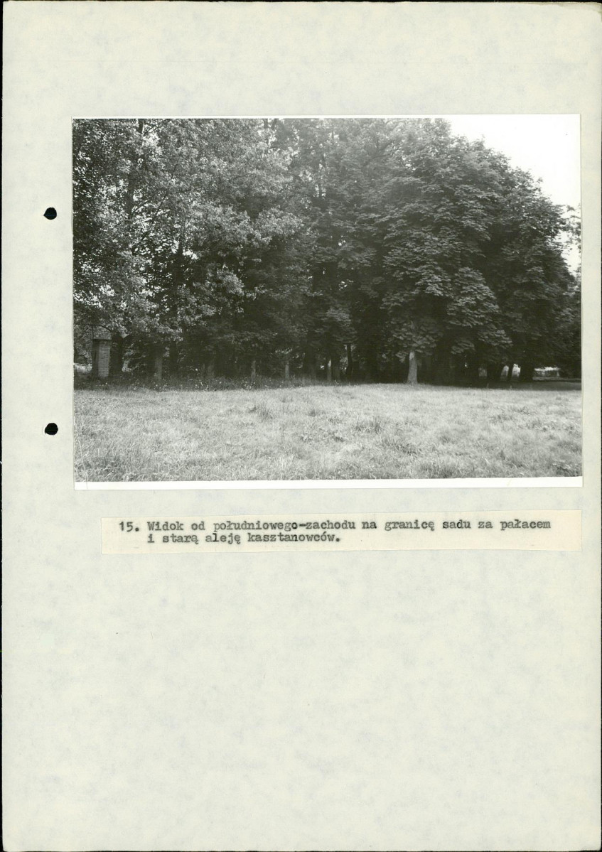 EP - Ewidencja parkowa, skan nr 80