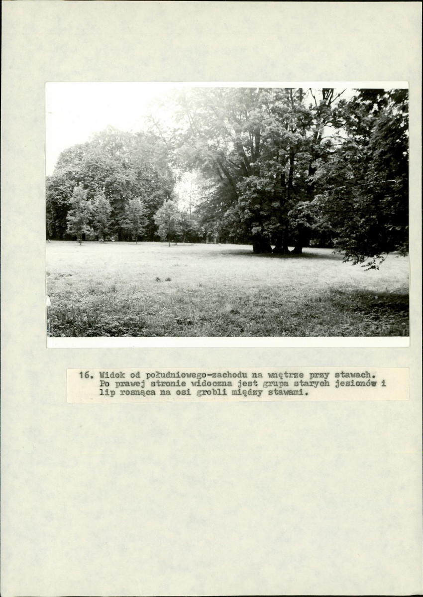 EP - Ewidencja parkowa, skan nr 81