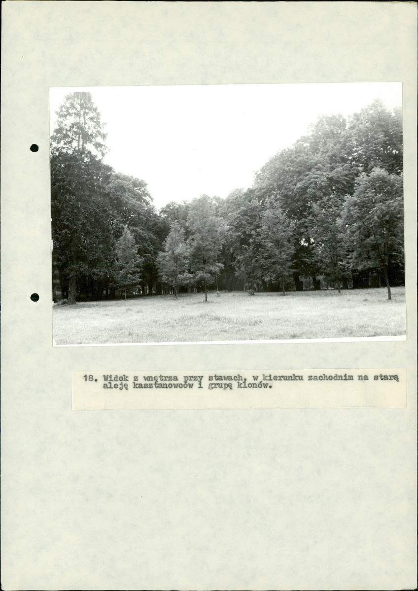 EP - Ewidencja parkowa, skan nr 83