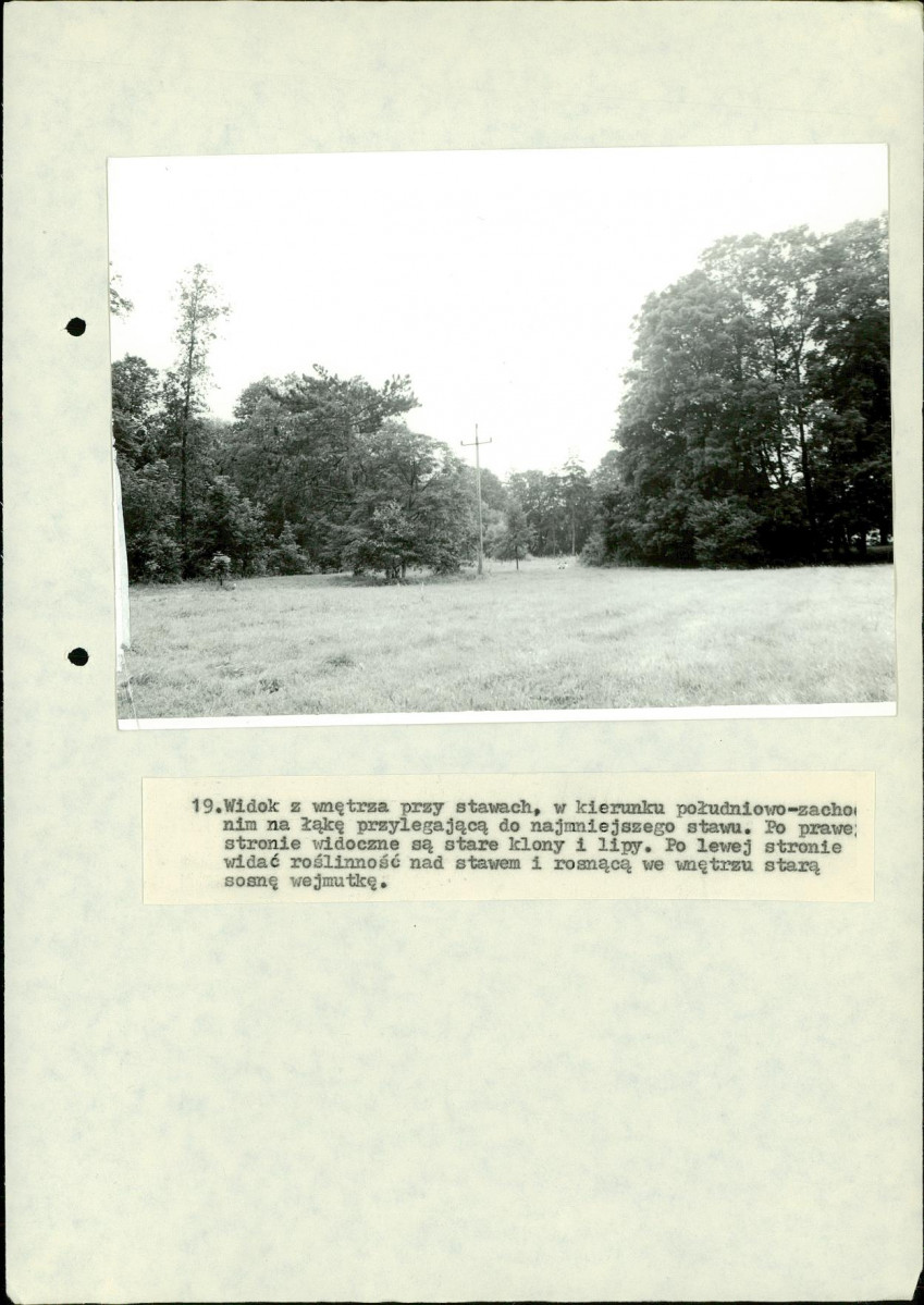 EP - Ewidencja parkowa, skan nr 84