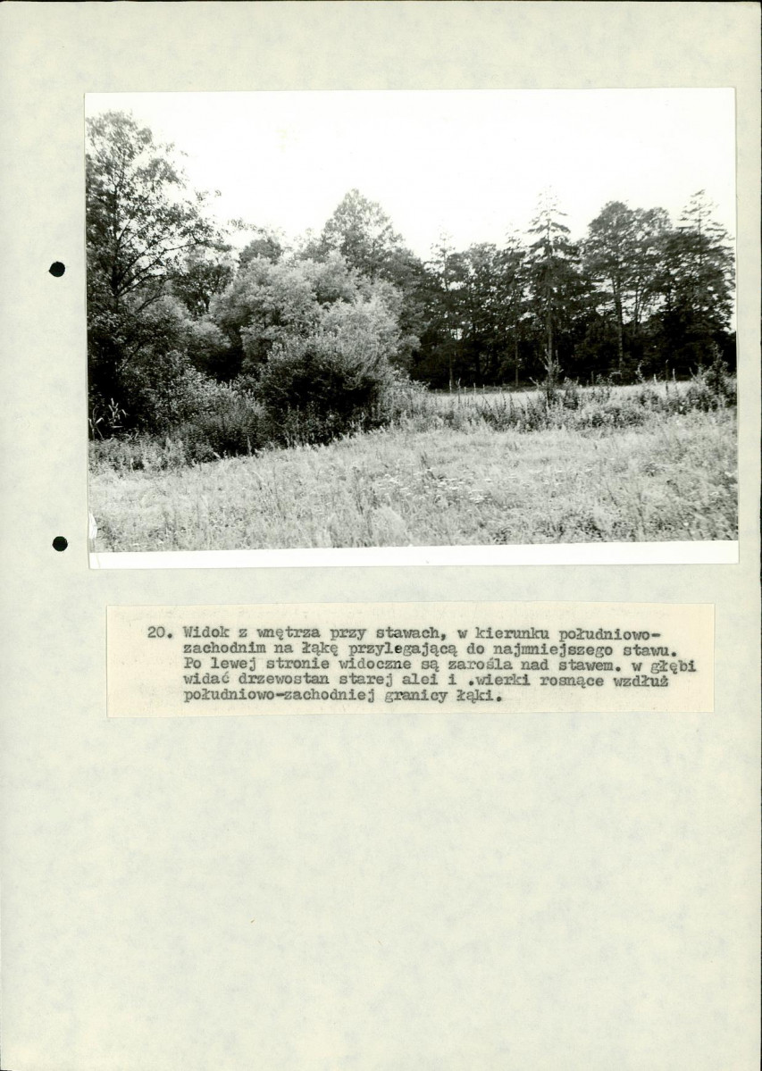 EP - Ewidencja parkowa, skan nr 85