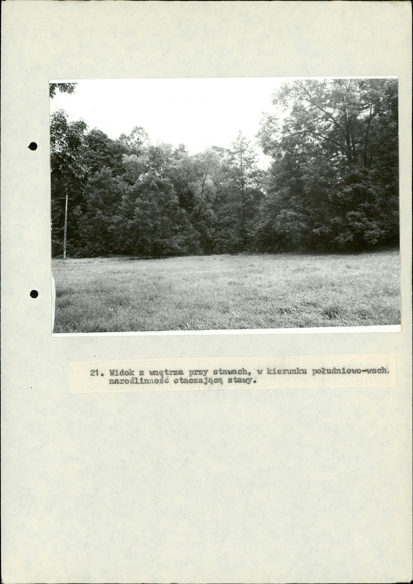 EP - Ewidencja parkowa, skan nr 86