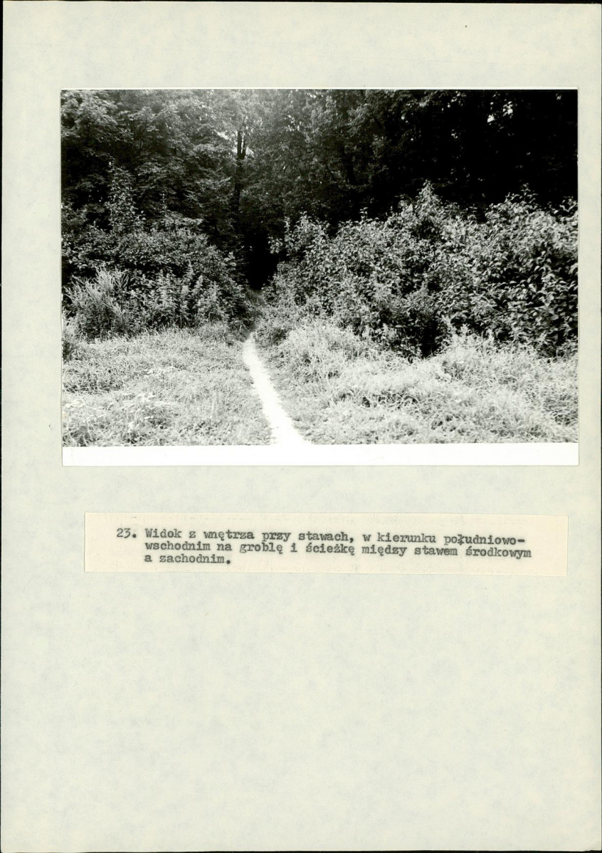 EP - Ewidencja parkowa, skan nr 88