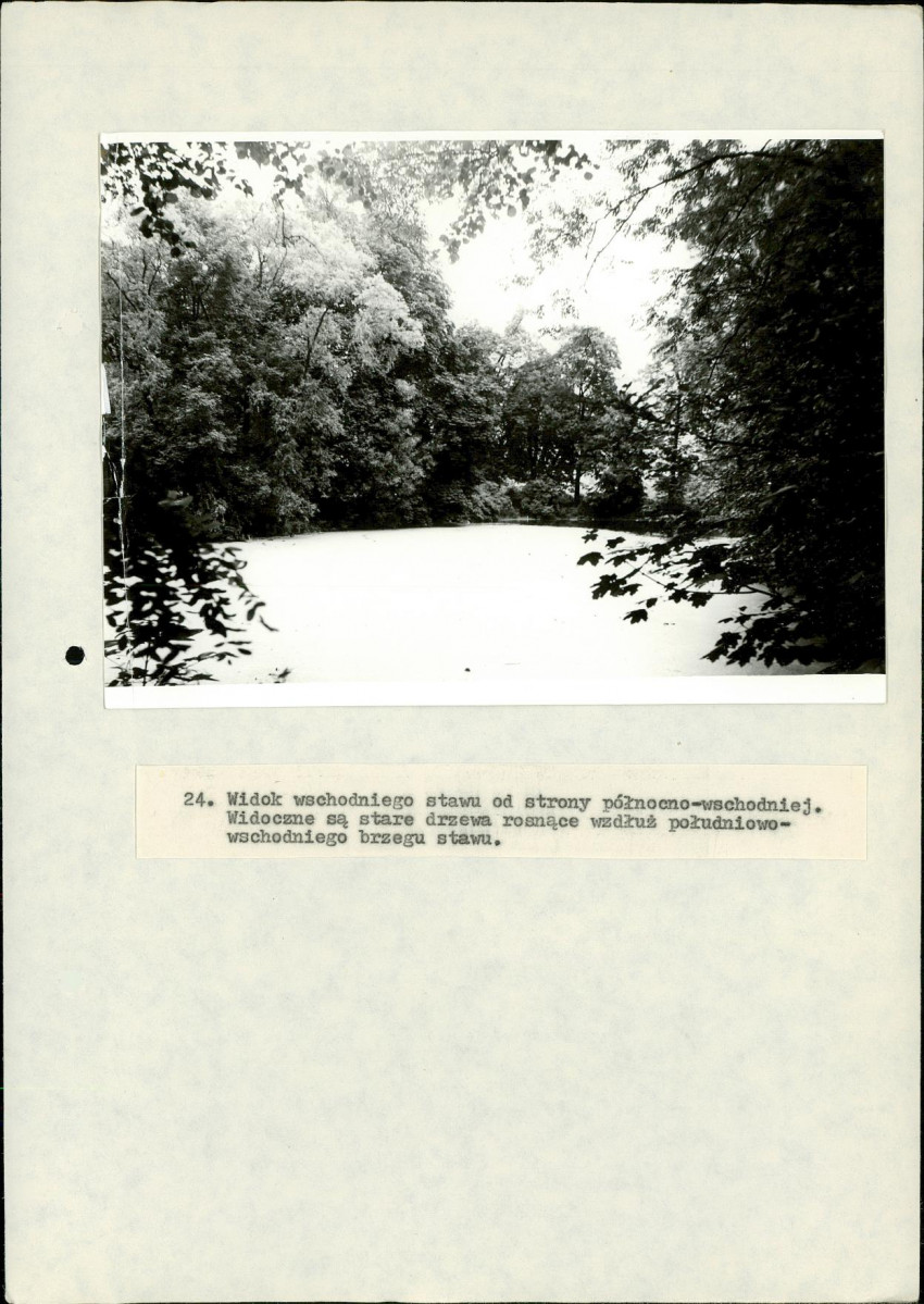 EP - Ewidencja parkowa, skan nr 89