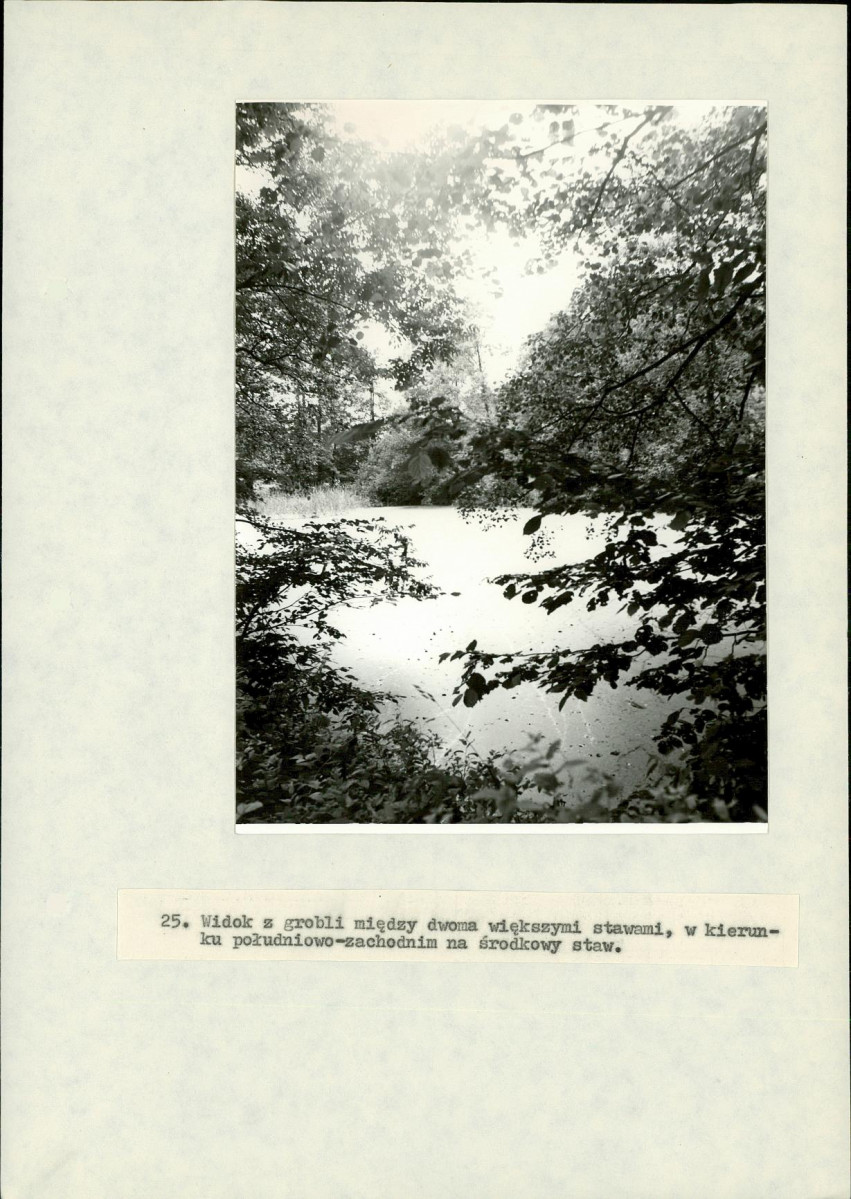 EP - Ewidencja parkowa, skan nr 90