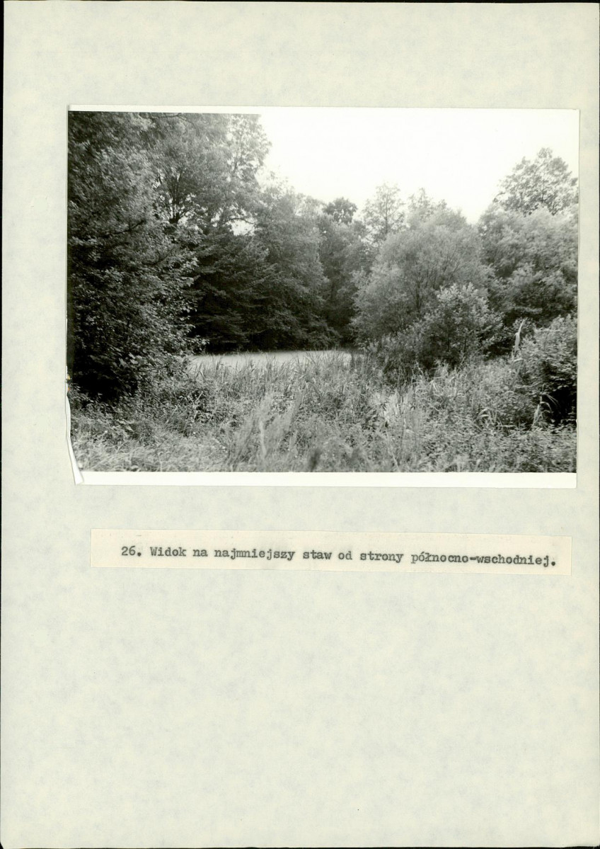 EP - Ewidencja parkowa, skan nr 91