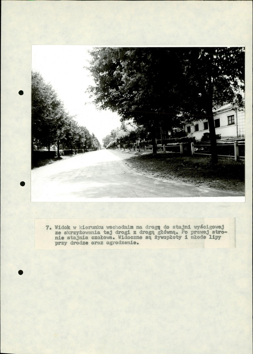 EP - Ewidencja parkowa, skan nr 53