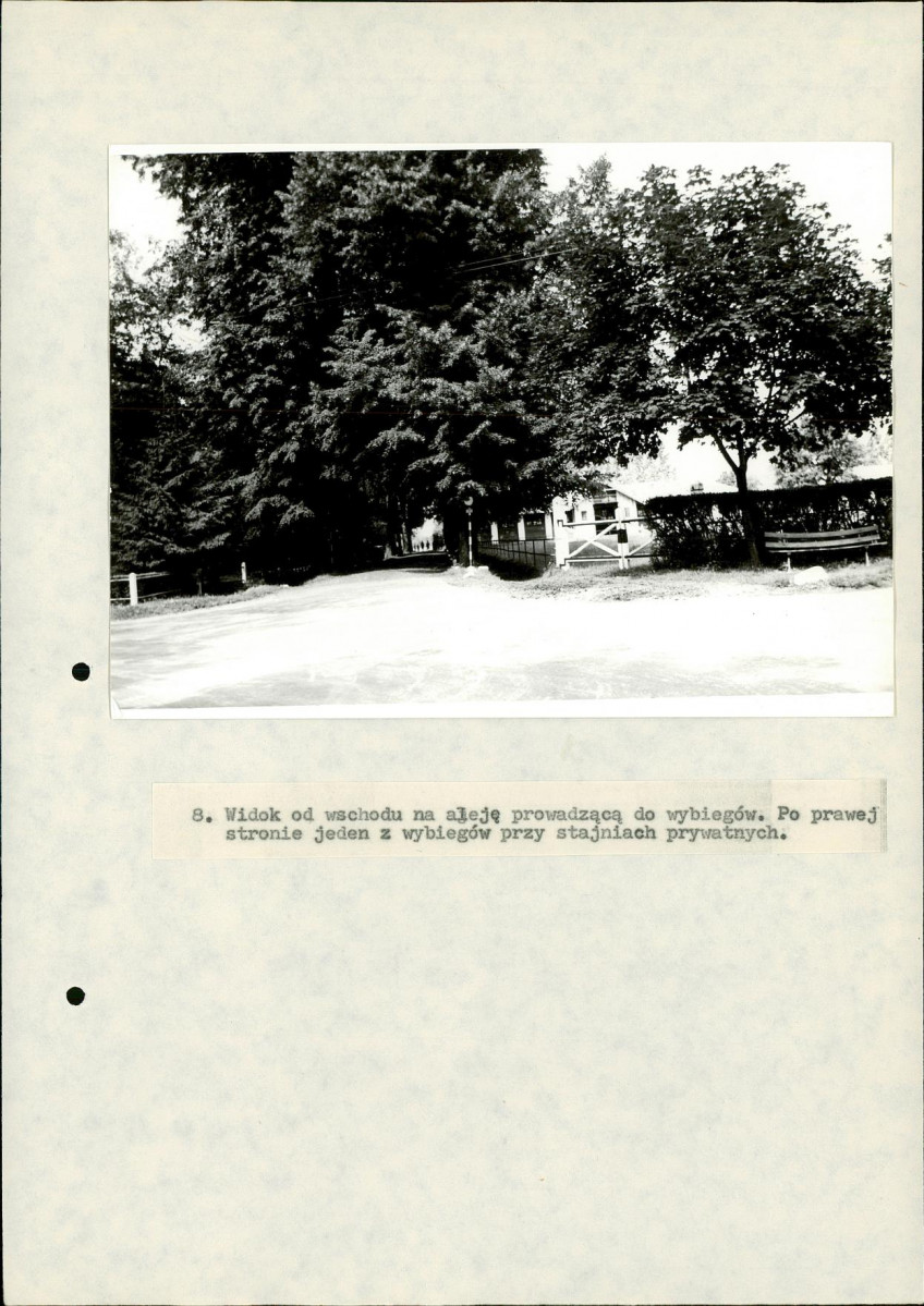 EP - Ewidencja parkowa, skan nr 54