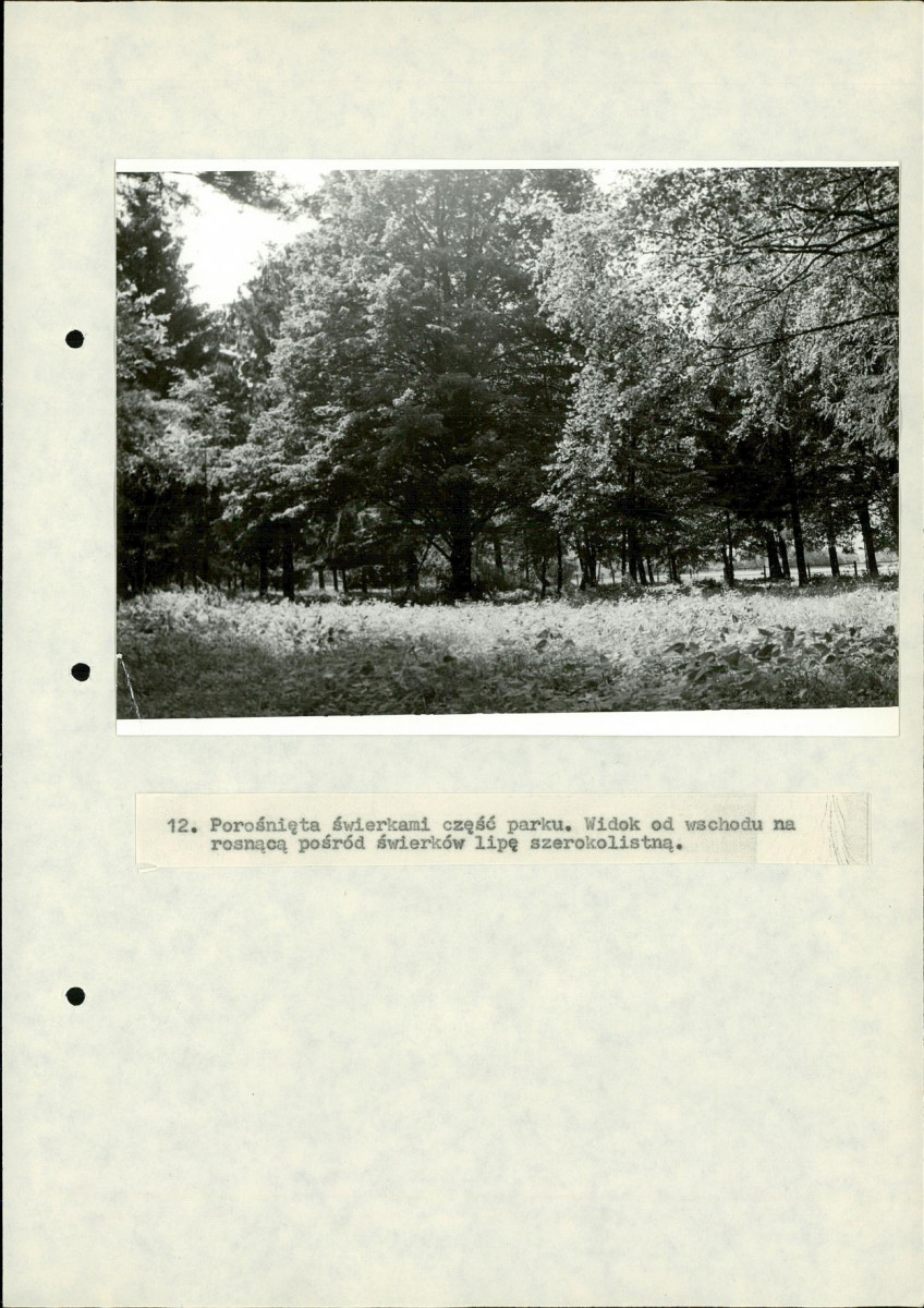 EP - Ewidencja parkowa, skan nr 58