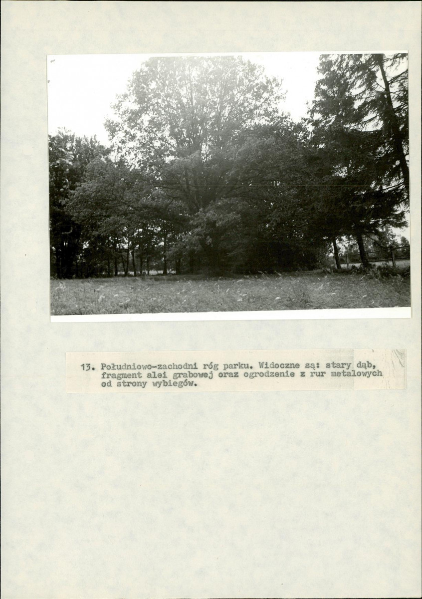 EP - Ewidencja parkowa, skan nr 59